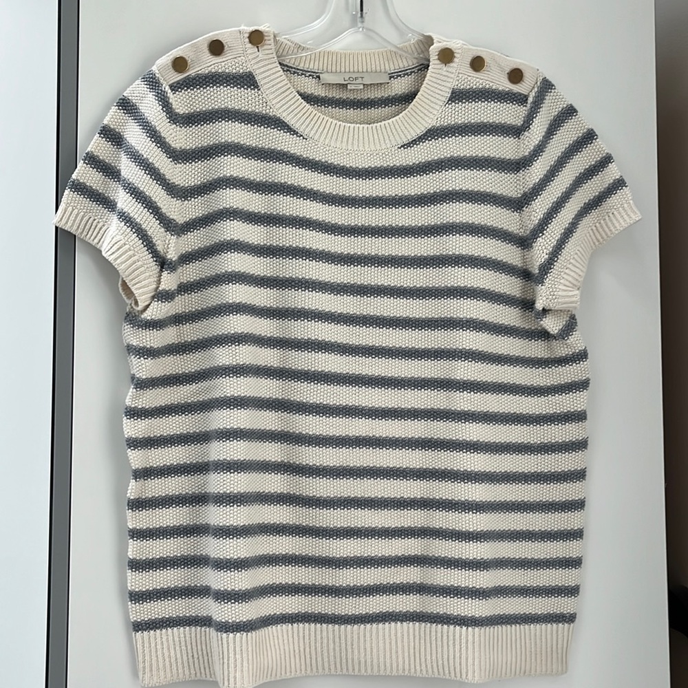 LOFT blue and cream striped sweater